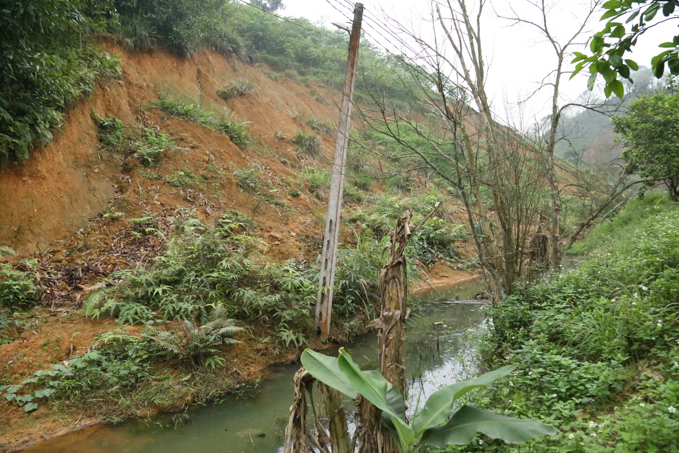 Những cây cột điện gẫy, đổ còn sót lại là dấu vết hiếm hoi cho thấy nơi đây từng là tuyến đường.