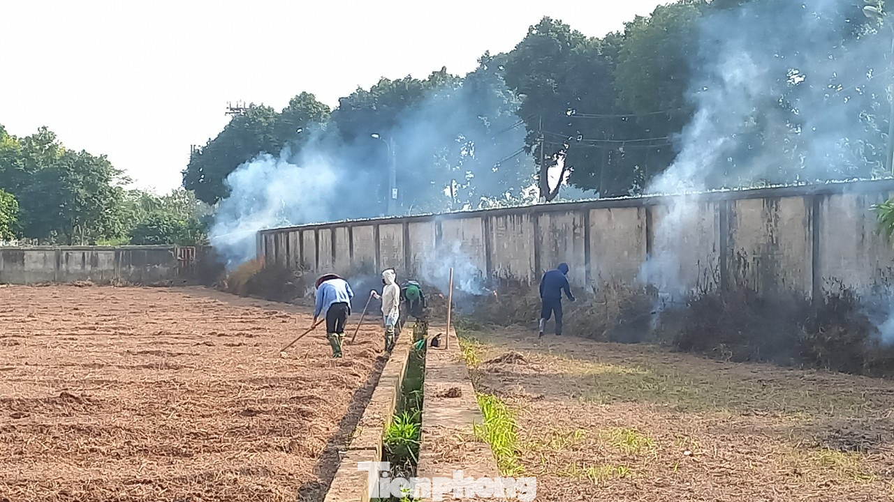 Quanh khu Học viện Nông Nghiệp Việt Nam (TT Trâu Quỳ, H.Gia Lâm, Hà Nội) với bán kính chừng 1 cây số, nhiều bãi rác luôn đỏ lửa...