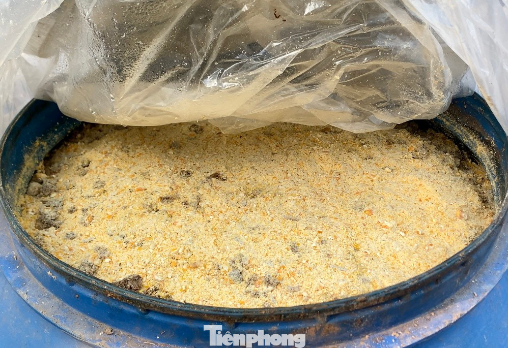 Với quy mô trang trại lớn, anh Nam đã áp dụng chăn nuôi gà Đông Tảo theo hướng an toàn sinh học và đạt hiệu quả cao qua nhiều năm. Với quy mô trang trại lớn, anh Nam đã áp dụng chăn nuôi gà Đông Tảo theo hướng an toàn sinh học và đạt hiệu quả cao qua nhiều năm.