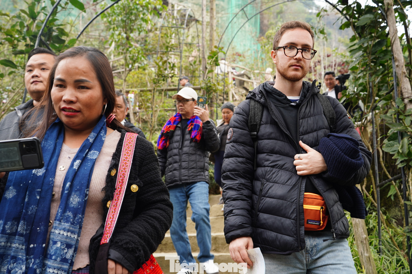 Những ngày này, thu hút rất đông du khách đến tham quan, chiêm ngưỡng.