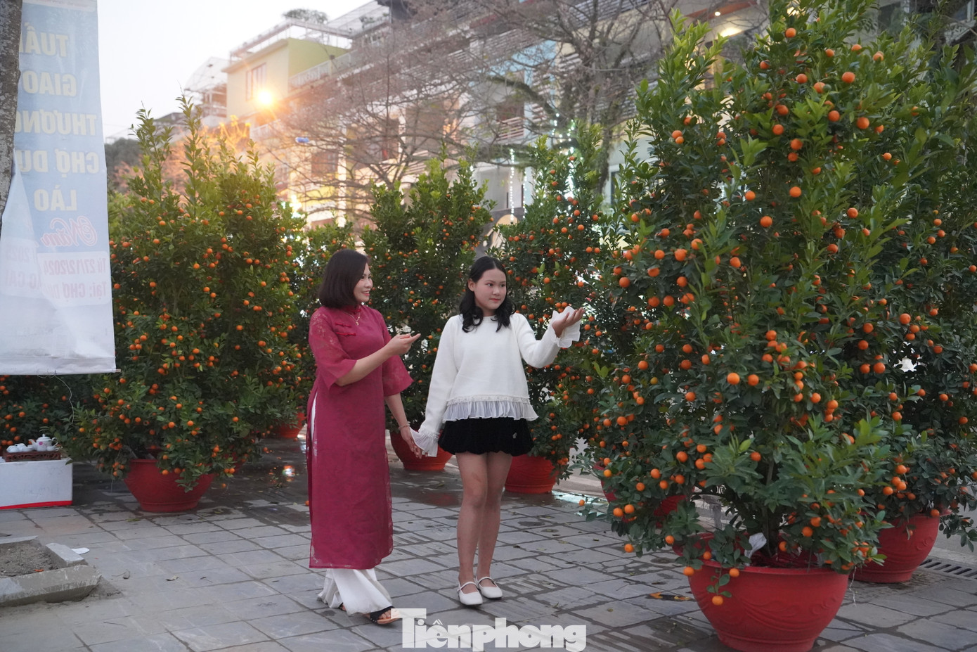 Người dân đi ngắm cây cảnh dịp Tết.