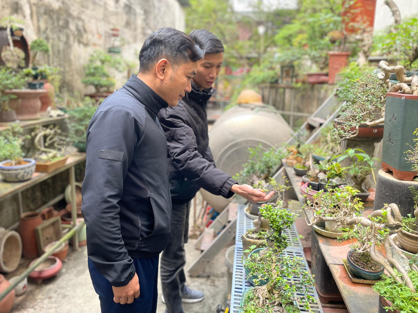 Trong ảnh, anh Hứa Việt Dũng (41 tuổi) - chủ cửa hàng cây cảnh trên đường Hoàng Hoa Thám) tư vấn cho khách chọn cây cảnh, cây bon sai. Cây cảnh được tạo thế đẹp, có giá từ vài triệu đến vài chục triệu, thường phục vụ những khách hàng "sành" về cây cảnh.