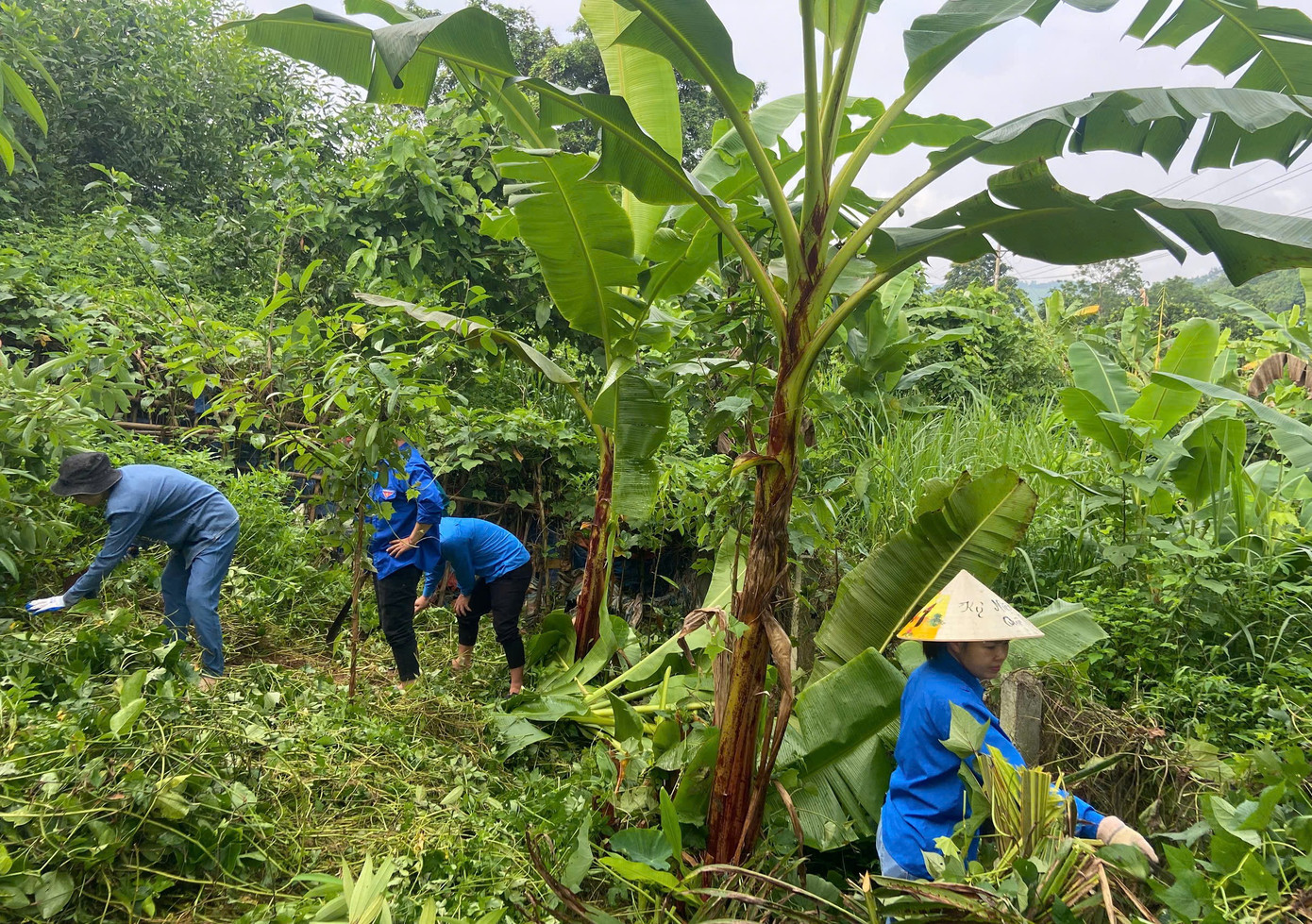 Sáng 5/7, Đoàn xã Lực Hành tổ chức lao động vệ sinh khuôn viên trụ sở UBND xã, tiếp tục chuẩn bị các điều kiện cần thiết để cán bộ yên tâm ổn định nơi làm việc, sinh hoạt và phục vụ người dân đến liên hệ công tác trong môi trường sạch sẽ, ngăn nắp. Hoạt động này thu hút sự tham gia của 26 cán bộ, đoàn viên thanh niên cùng các lực lượng khác trên địa bàn.