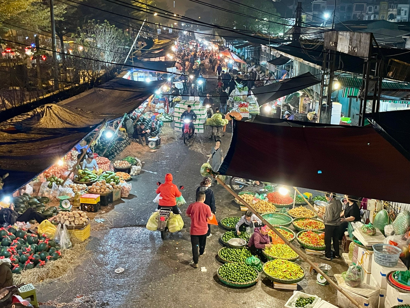 Chợ Long Biên, Hà Nội là chợ đầu mối hoa quả lớn nhất miền Bắc. Hoa quả từ các tỉnh, các cửa khẩu được đưa về đây. Chợ họp cả ngày nhưng đông đúc nhất là ban đêm. Khi mọi người đang say giấc là lúc chợ Long Biên sôi động nhất.
