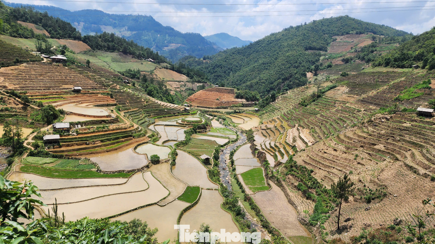 Anh Hờ A Dê - hướng dẫn viên du lịch tại Mù Cang Chải cho biết, từ thời điểm này đến hết mùa nước đổ, ruộng bậc thang thay đổi diện mạo từng ngày. Nước đổ về, phủ đầy từng bậc ruộng, lấp lánh dưới nắng như dát bạc. Khi bà con bắt đầu cấy, ruộng chuyển dần sang màu xanh mát của lúa non. Du khách đến đây không chỉ được chiêm ngưỡng khung cảnh thiên nhiên hùng vĩ, mà còn có cơ hội cùng người dân trải nghiệm cấy lúa, tham gia sinh hoạt văn nghệ, đốt lửa trại giữa bản làng.