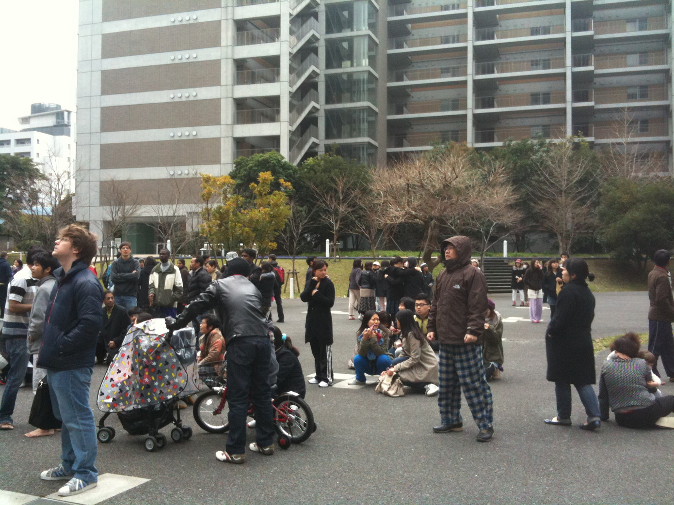 Người Việt ở Tokyo kể chuyện động đất, sóng thần ảnh 2 Người Việt ở Tokyo kể chuyện động đất, sóng thần ảnh 2