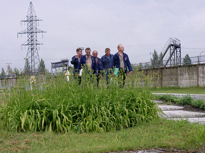 Lói vaøo gađn loø phaưn ôăng cuưa Chernobyl