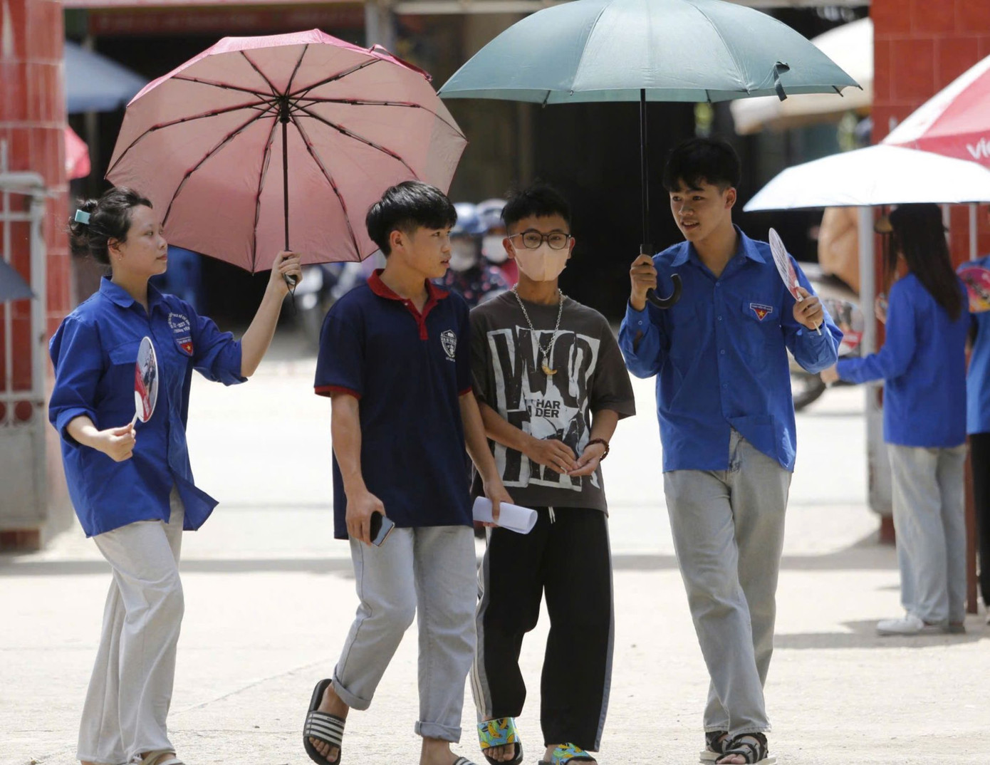 Ảnh: Hải Đường Ảnh: Hải Đường