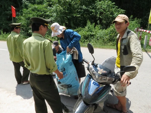 Nhiều sơn tràng buộc phải ra khỏi rừng vì sợ giang hồ trấn cướp