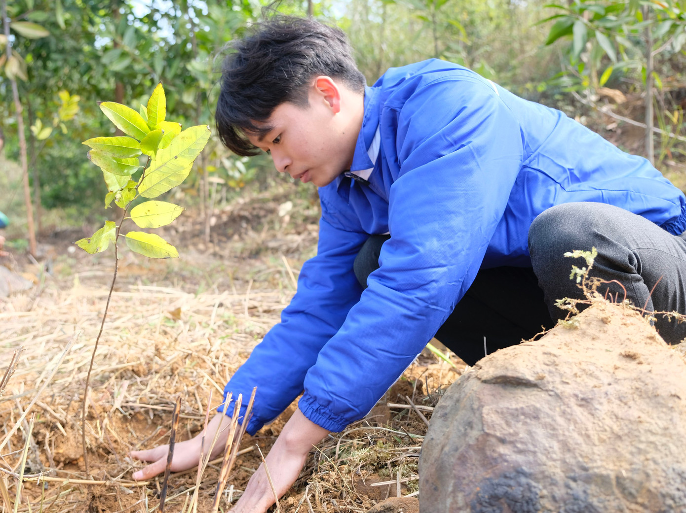 Các đại biểu và đoàn viên thanh niên trồng cây tại chương trình. Ảnh: Châu Linh, Quang Trường
