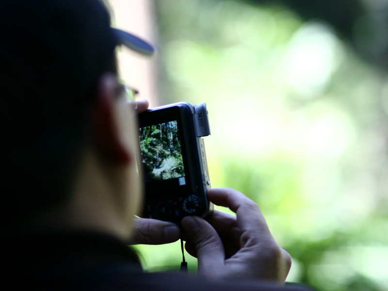 Nhiều tấm hình về thiên nhiên của Fansipan đựoc lữ khách ghi lại