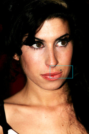 Stefanie Heinzmann Amy Winehouse Amber Rose Ashley Massaro Pink Heidi Montag Bar Refaeli Rihanna Christina Aguilera Drew Barrymore