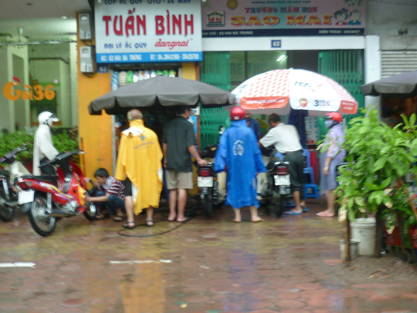 Dịch vụ lau bugi phát tài