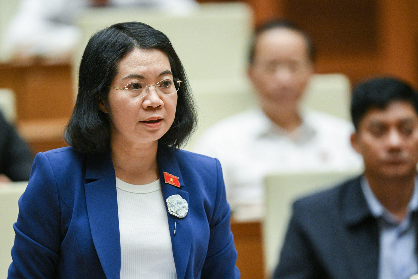 Đại biểu Mai Thị Phương Hoa (Nam Định) Đại biểu Mai Thị Phương Hoa (Nam Định)