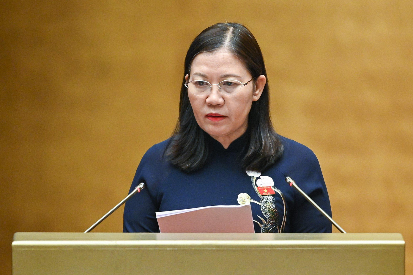 Chủ nhiệm Uỷ ban Tư pháp Lê Thị Nga Chủ nhiệm Uỷ ban Tư pháp Lê Thị Nga