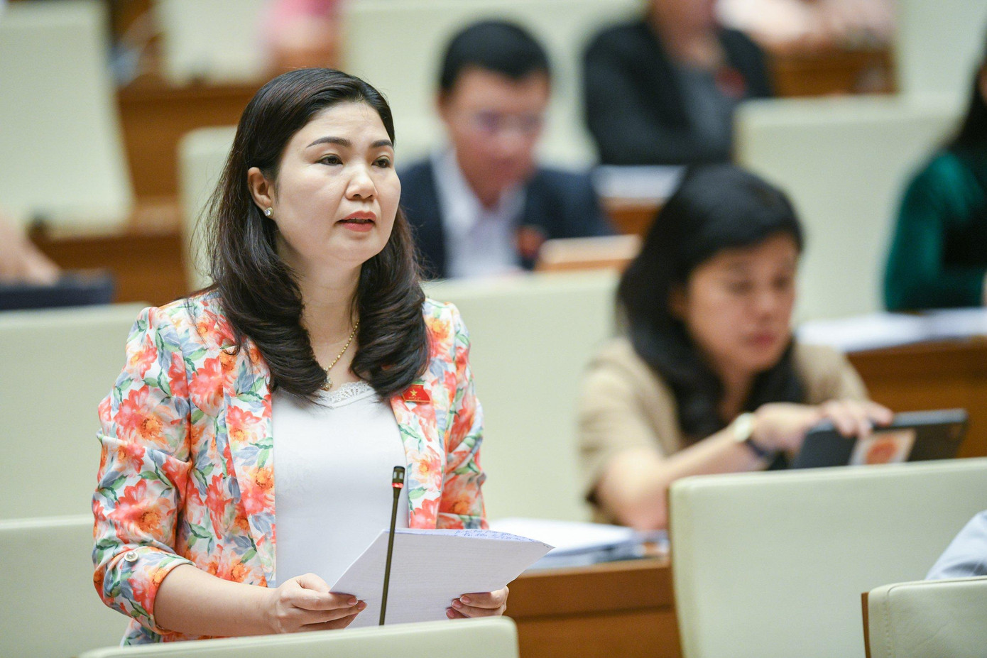 Đại biểu Trần Thị Vân (Bắc Ninh) Đại biểu Trần Thị Vân (Bắc Ninh)