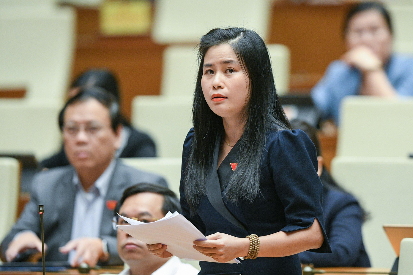 Đại biểu Đặng Thị Bảo Trinh (Quảng Nam) Đại biểu Đặng Thị Bảo Trinh (Quảng Nam)