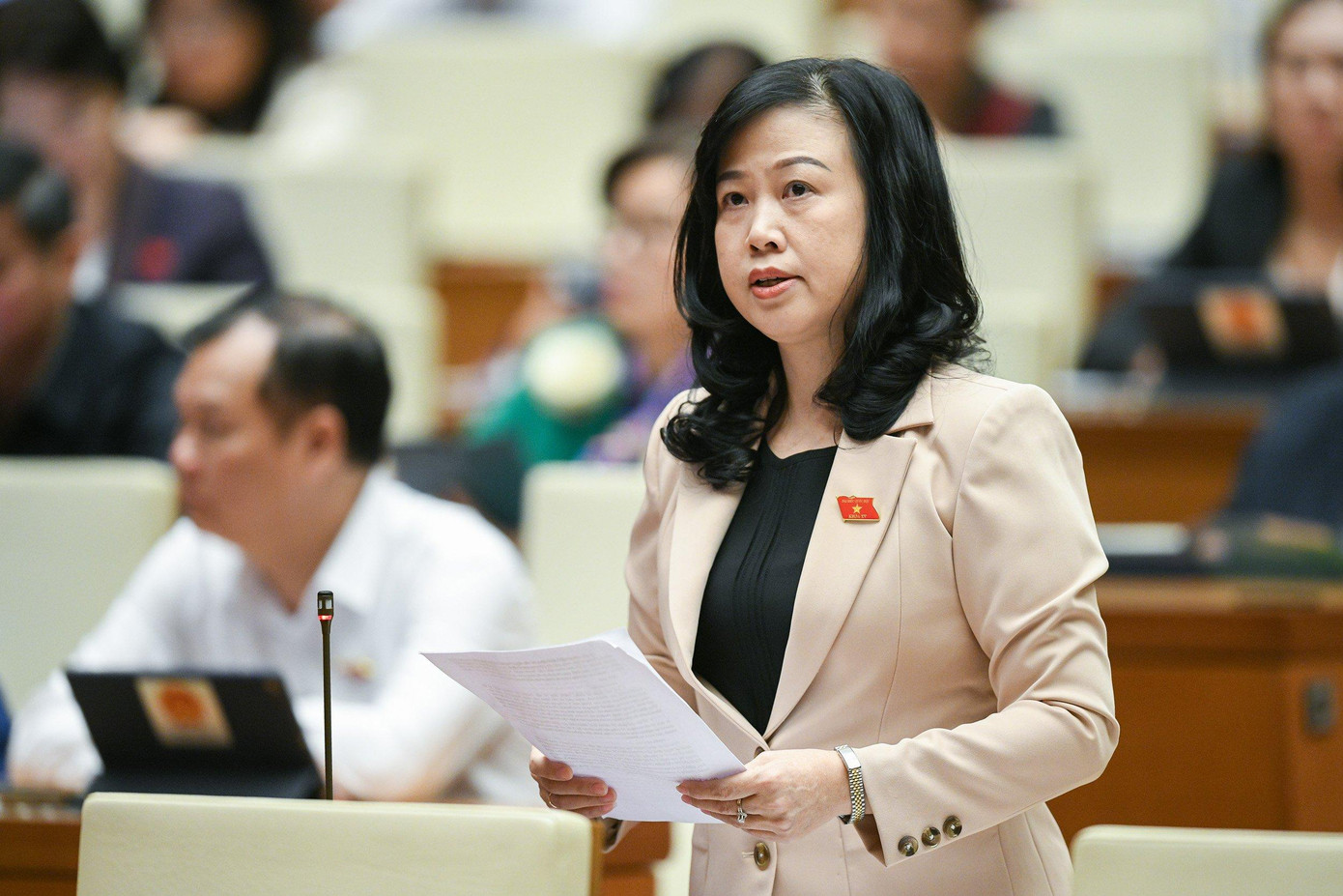 Bộ trưởng Bộ Y tế Đào Hồng Lan (ảnh: Như Ý).