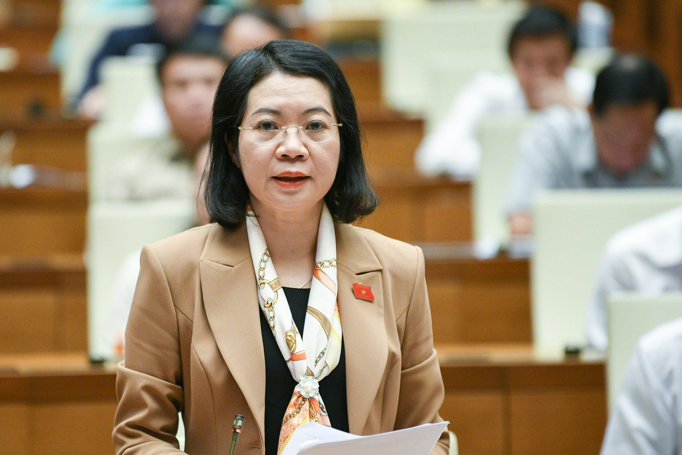 Đại biểu Mai Thị Phương Hoa (Nam Định). Ảnh QH Đại biểu Mai Thị Phương Hoa (Nam Định). Ảnh QH