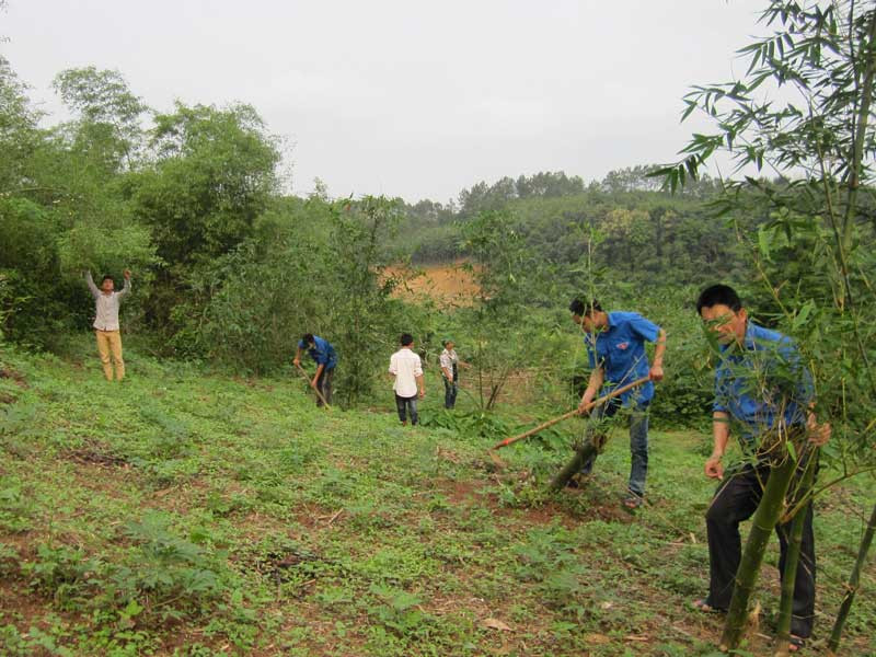 Thanh niên thôn Phình Hồ, xã Bắc Sơn trồng và chăm sóc tre tại bờ sông biên giới. Thanh niên thôn Phình Hồ, xã Bắc Sơn trồng và chăm sóc tre tại bờ sông biên giới