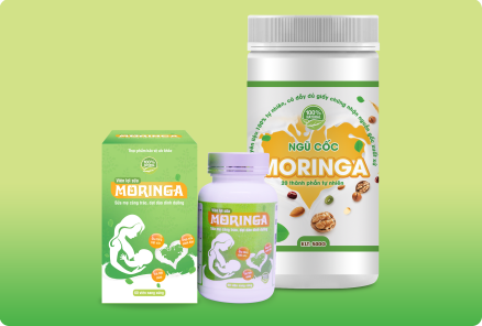 Chùm ngây – Giải pháp thông minh cho các mẹ thiếu sữa, mất sữa ảnh 4