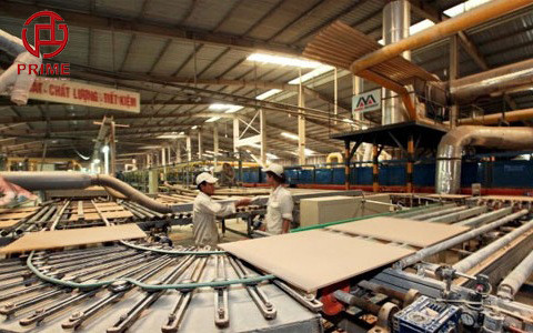 Thị phần của Prime giảm mạnh xuống 20%