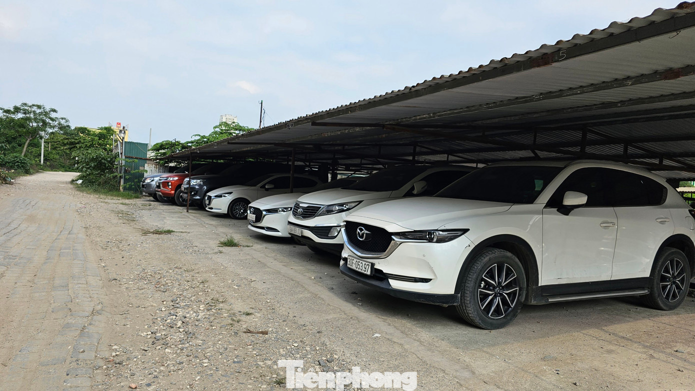 Bãi trông giữ xe ô tô có mái che "mọc" bên trong dự án.