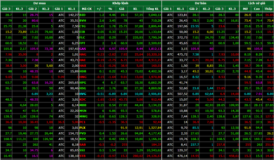 Sàn HoSE tạm ngừng giao dịch hôm nay do sự cố ảnh 1
