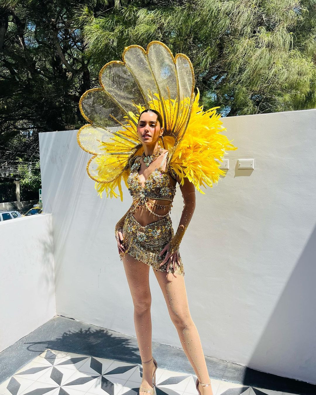 Paulina Vega sinh năm 1993, là người mẫu, người dẫn chương trình người Colombia. Cô đại diện Colombia tham dự Miss Universe 2014 và đăng quang ngôi vị cao nhất. Paulina sinh ra trong một gia đình có nhiều người nổi tiếng. Cô là chị họ của Á hậu 1 Miss Universe 2015 - Ariadna Gutiérrez. Paulina được đánh giá là một trong những Hoa hậu Hoàn vũ đẹp nhất trong lịch sử. Năm 2014 cô được chuyên trang sắc đẹp Missosology trao danh hiệu Timeless Beauty - Vẻ đẹp vượt thời gian và về nhì trong cuộc bình chọn Miss Grand Slam - Hoa hậu đẹp nhất thế giới do chuyên trang Globalbeauties tổ chức.