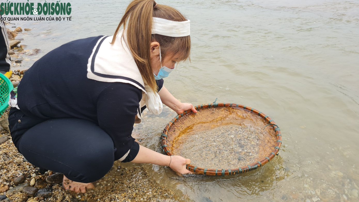 Trên bãi cát, người sàng, người đãi, người vận chuyển... vô cùng nhộn nhịp.