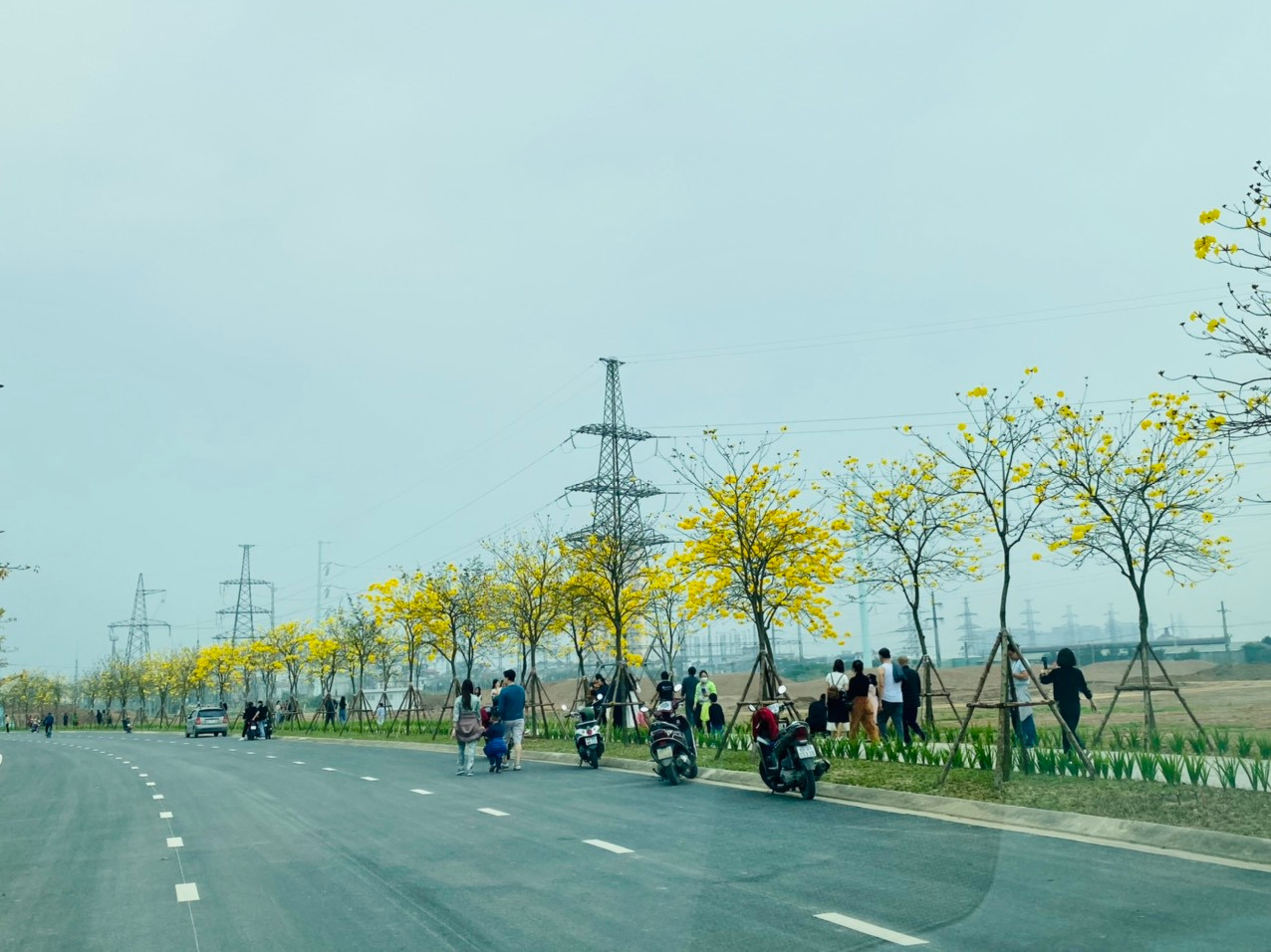 Năm nay, cuộc sống trở lại hoàn toàn bình thường nên các nam thanh nữ tú, các gia đình thoải mái ngoạn cảnh và chụp ảnh đường hoa.