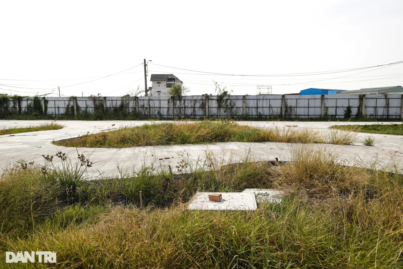 UBND huyện Bình Chánh đã chỉ đạo các xã, thị trấn rà soát, theo dõi các khu đất nông nghiệp để kịp thời ngăn chặn các trường hợp vi phạm đất đai, trật tự xây dựng. Sở Xây dựng TPHCM cũng đề nghị huyện Bình Chánh khẩn trương chỉ đạo không để phát sinh các công trình xây dựng không phép; đồng thời hướng dẫn chủ đầu tư thực hiện đầy đủ thủ tục quy định.