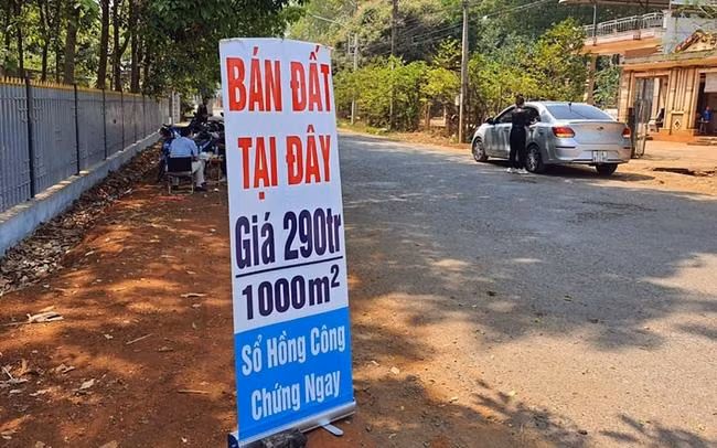 Những vụ chuyển nhượng bất động sản liệu có qua mặt được ngành thuế? (ảnh minh hoạ)
