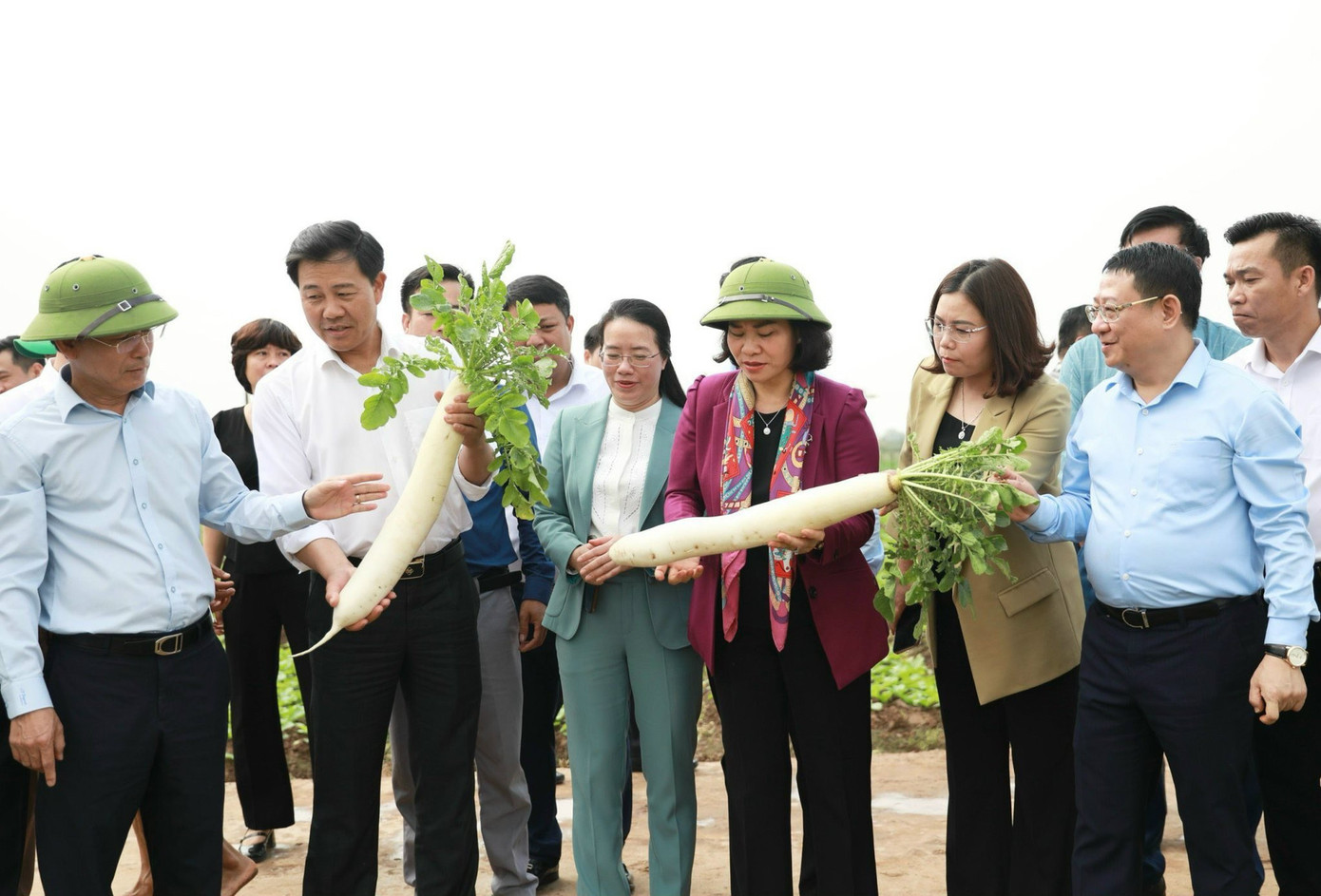 Phó Bí thư Nguyễn Thị Tuyến (áo tím) thăm mô hình sản xuất rau của người dân huyện Mê Linh. Phó Bí thư Nguyễn Thị Tuyến (áo tím) thăm mô hình sản xuất rau của người dân huyện Mê Linh.