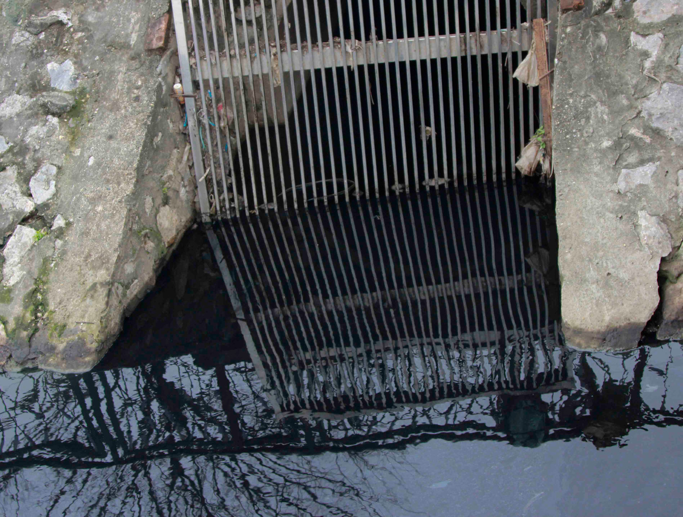 Ống cống dẫn nước thải sinh hoạt của người dân đổ vào hồ và đây có thể là nguyên nhân khiến cá chết.