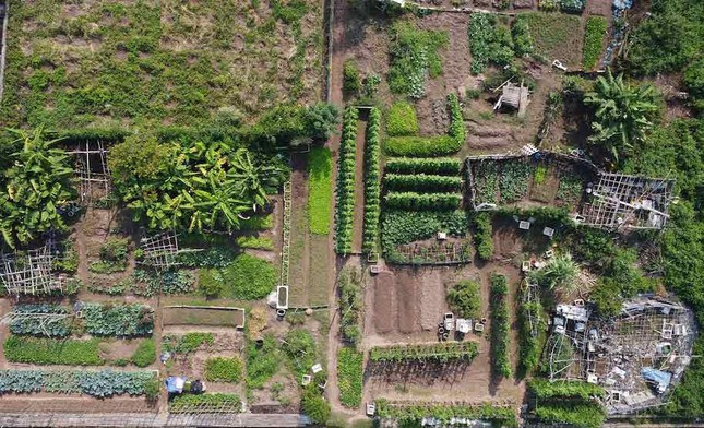 Hiện trạng khu đất xây dựng Bệnh viện chuyên khoa ung bướu và phẫu thuật thẩm mỹ 1000 năm Thăng Long (ảnh: Vĩnh Hoàng) Hiện trạng khu đất xây dựng Bệnh viện chuyên khoa ung bướu và phẫu thuật thẩm mỹ 1000 năm Thăng Long (ảnh: Vĩnh Hoàng)