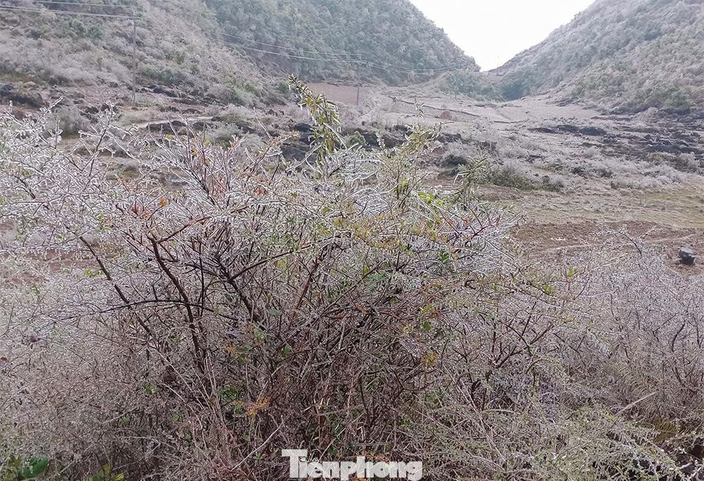 Theo dự báo, thời tiết vẫn tiếp tục rét đậm, rét hại trong một vài ngày tới. Do đó, bà con cần hết sức chú ý để phòng chống rét cho người và vật nuôi, cây trồng.