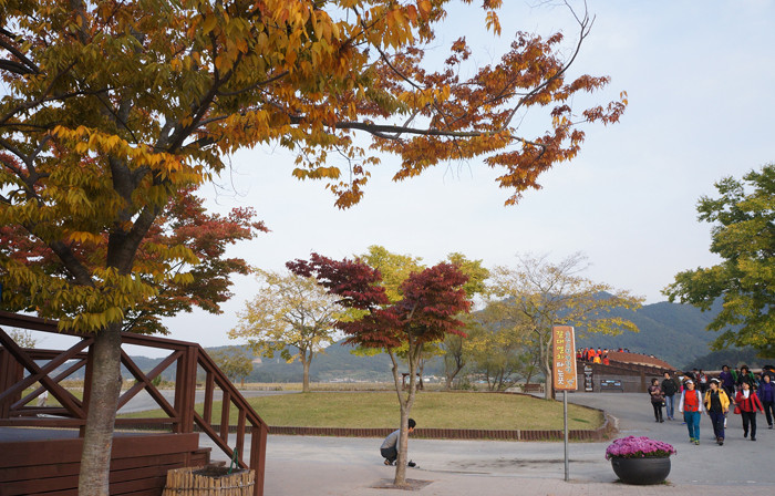 Thu vàng ở tỉnh cực Nam Hàn Quốc. Thu vàng ở tỉnh cực Nam Hàn Quốc