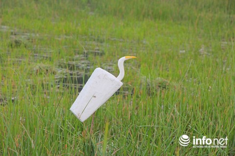 Chim trời nằm la liệt dọc đường, tràn lan ở chợ và trên... bàn nhậu ảnh 17