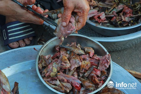 Chim trời nằm la liệt dọc đường, tràn lan ở chợ và trên... bàn nhậu ảnh 14