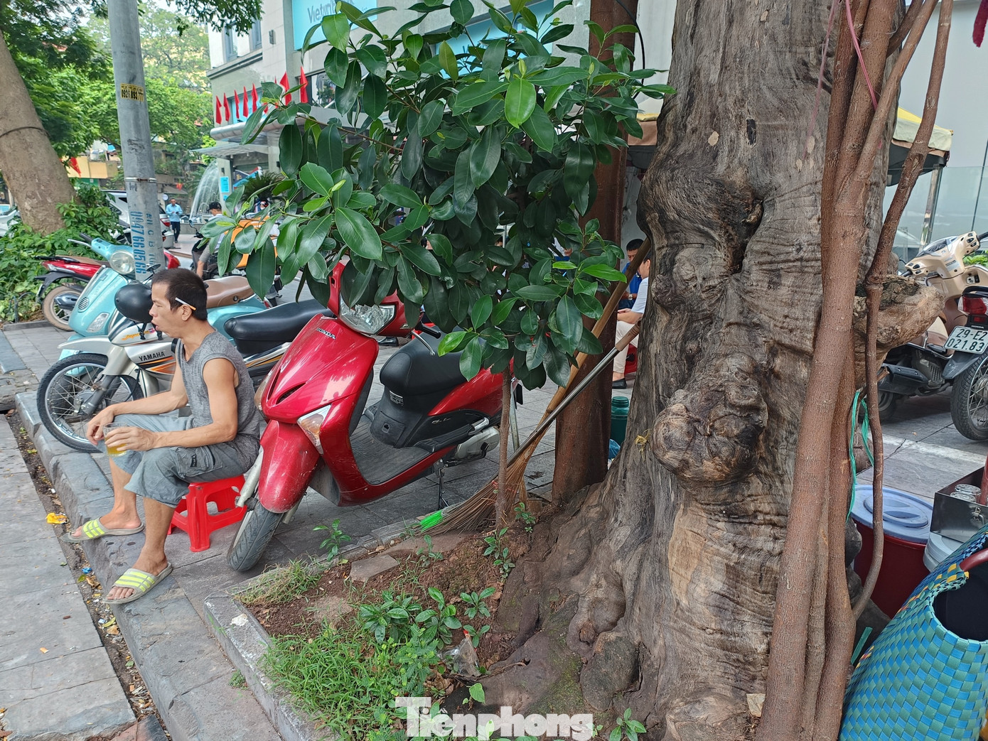 Hàng ngày, nhiều người dân ngồi dưới gốc cây uống trà đá...