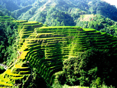 Ruộng bậc thang ở Philippines