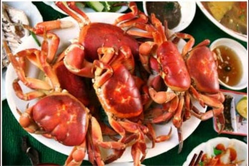 Những loài cua biển gây ngộ độc chết người ở VN ảnh 2