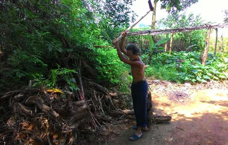 Dị nhân có 'dạ dày không đáy' ở đất Ba Vì ảnh 2