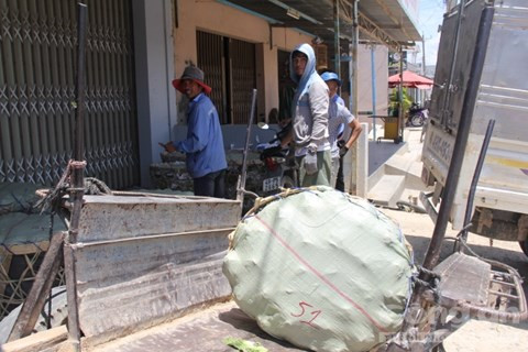 Ngựa kéo thuê kiếm tiền triệu cho gia chủ ảnh 1