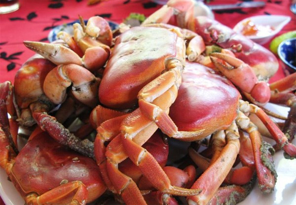 Những loài cua biển gây ngộ độc chết người ở VN ảnh 5