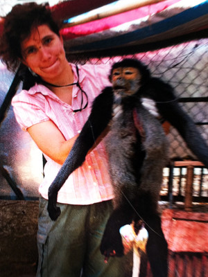 Chăm sóc voọc chà vá bị gãy chân do vướng bẫy. Chăm sóc voọc chà vá bị gãy chân do vướng bẫy