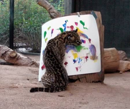 Chú mèo rừng 7 tuổi ở Nam Phi cũng là một họa sĩ thú bằng cách sử dụng tất cả các bộ phận của cơ thể từ chân, cổ, thân để vẽ tranh