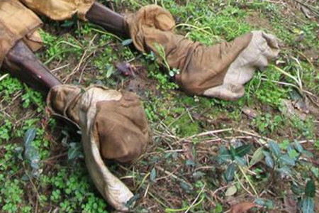 Giày của xác ướp. Giày của xác ướp