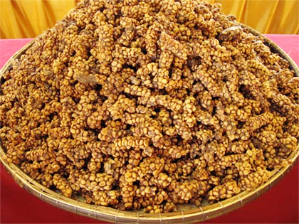 Cà phê phân chồn ở dạng thô, chưa qua xử lý